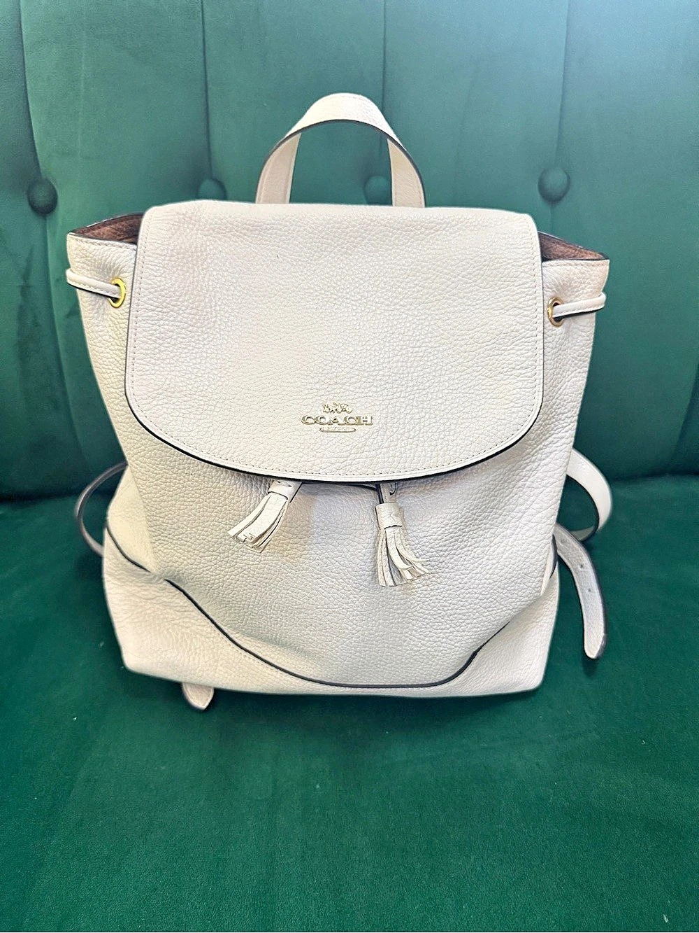 Coach Leather Backpack in White